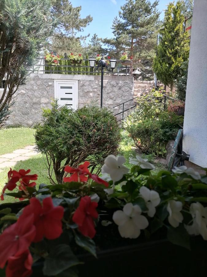 Villa Bozovic ซลาตีบอร์ ภายนอก รูปภาพ