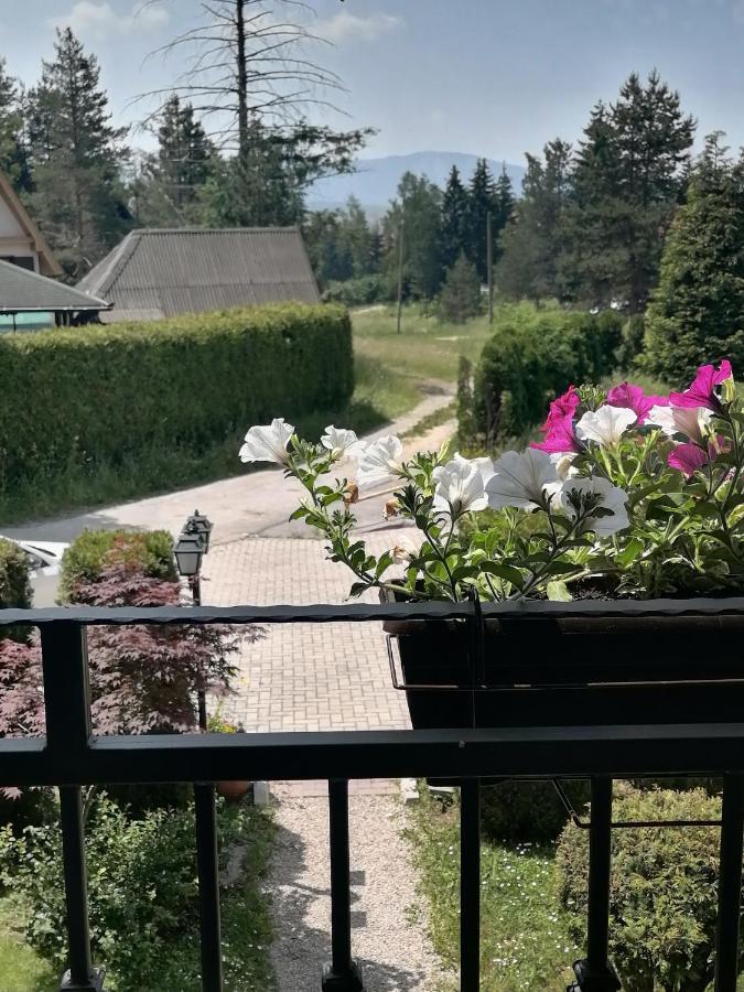 Villa Bozovic ซลาตีบอร์ ภายนอก รูปภาพ