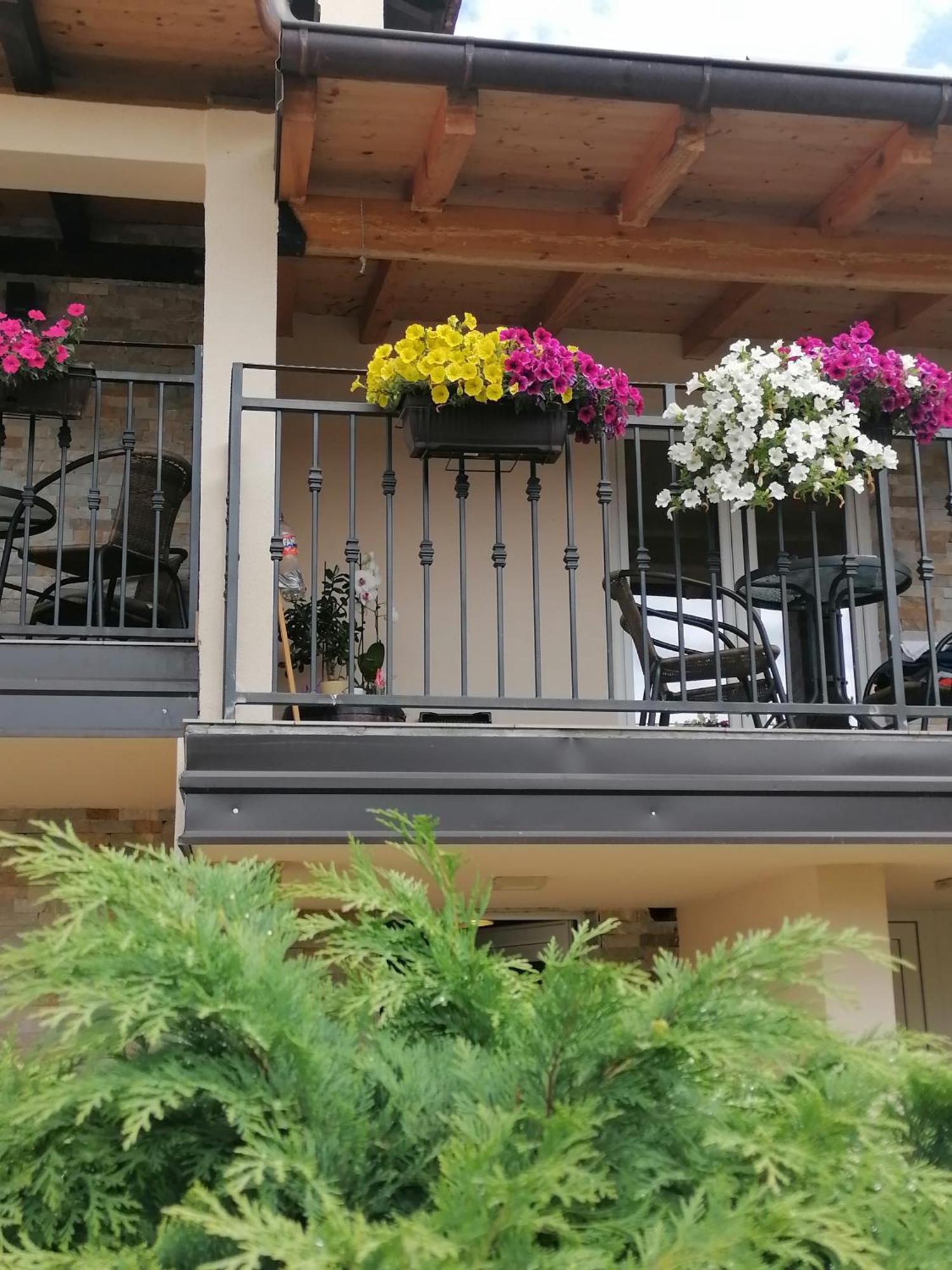 Villa Bozovic ซลาตีบอร์ ภายนอก รูปภาพ