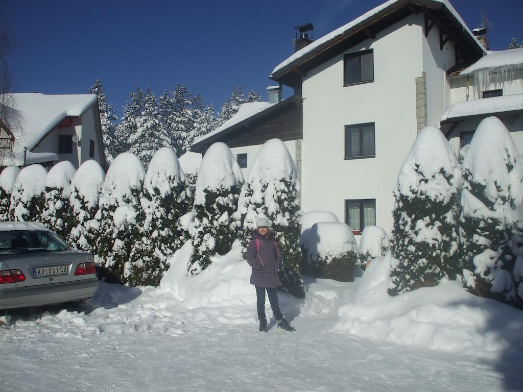 Villa Bozovic ซลาตีบอร์ ภายนอก รูปภาพ